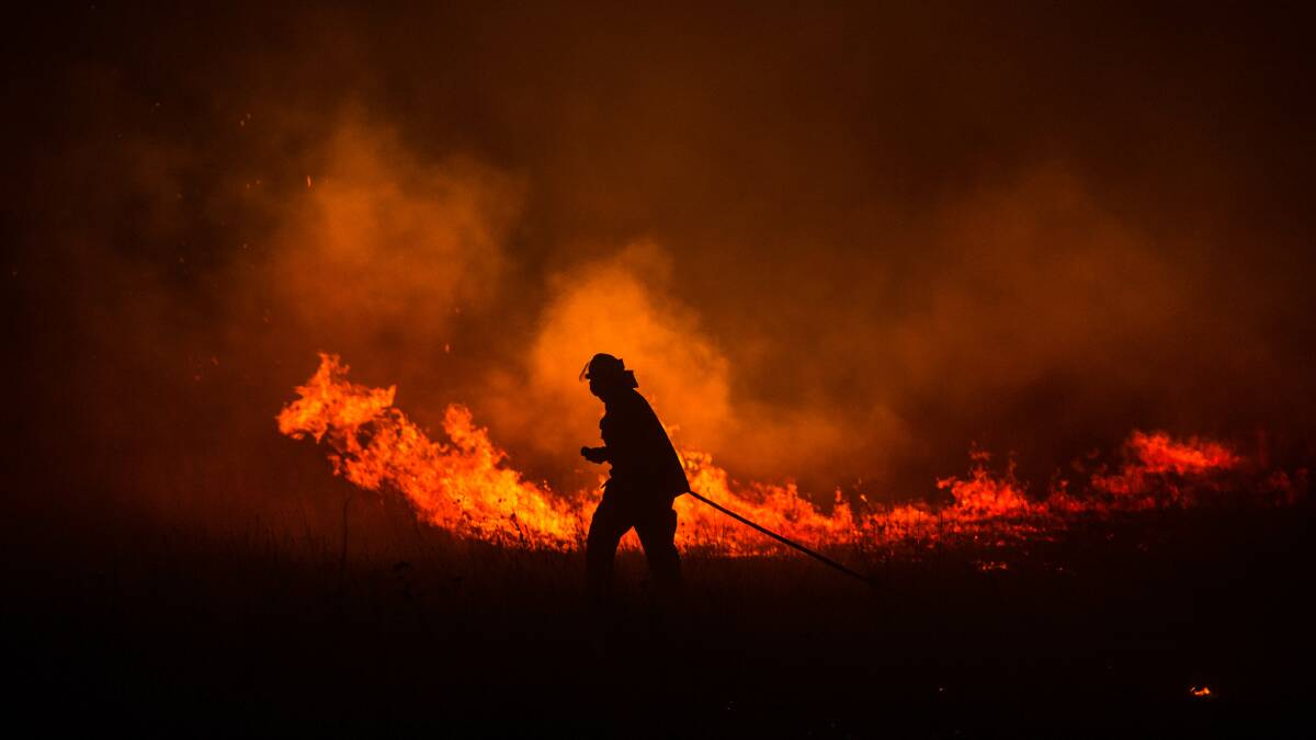 A NSW RFS crew member tackles a large grass fire. Photo: Wolter Peeters