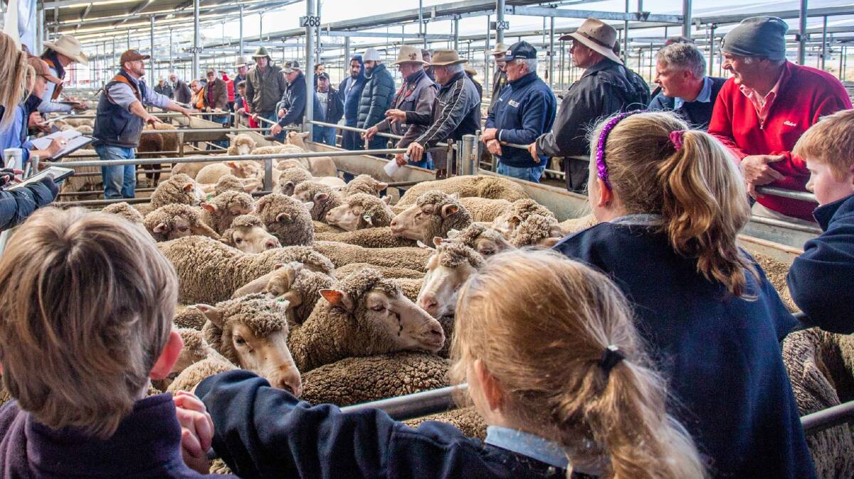 Going once, going twice: Binalong Public School students watch as their sheep are sold at the South Eastern Livestock Exchange. Photo: SELX