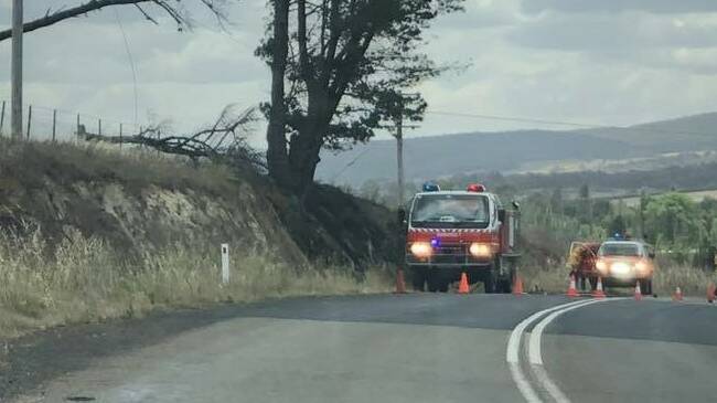 Local fire brigades attend to a small grass fire caused by the fallen tree. Photo: Rhiannon Jones