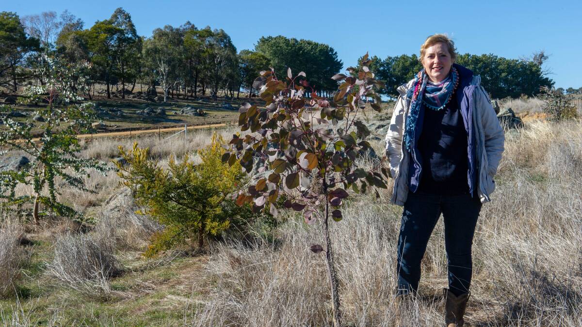PUT TO GOOD USE: Mandy Wales of Alloura, Yass has increased native vegetation and improved waterways on her land with the grants. Picture: supplied
