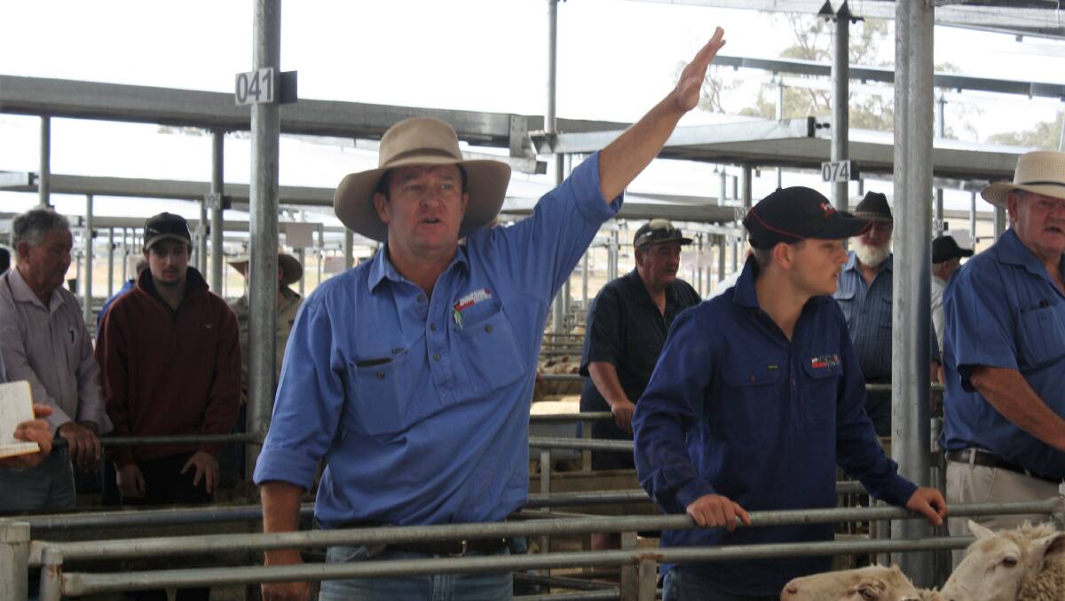 Jock Duncombe, Duncombe & Co Livestock topped sales at SELX for Glen Erin, Grabben Gullen (near Crookwell). Photo: Hannah Sparks