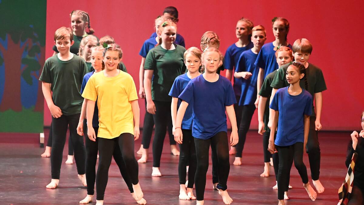 Protect our Forest: Mount Carmel Students perform during the Wakakirri Story Dance Challenge in Canberra. Photo: Winkipop Media