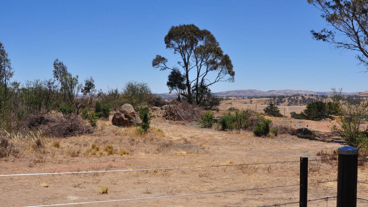 Overlooking the site allocated for the scarred tree display at Oak Hill Aboriginal Reserve. Photo: Hannah Sparks