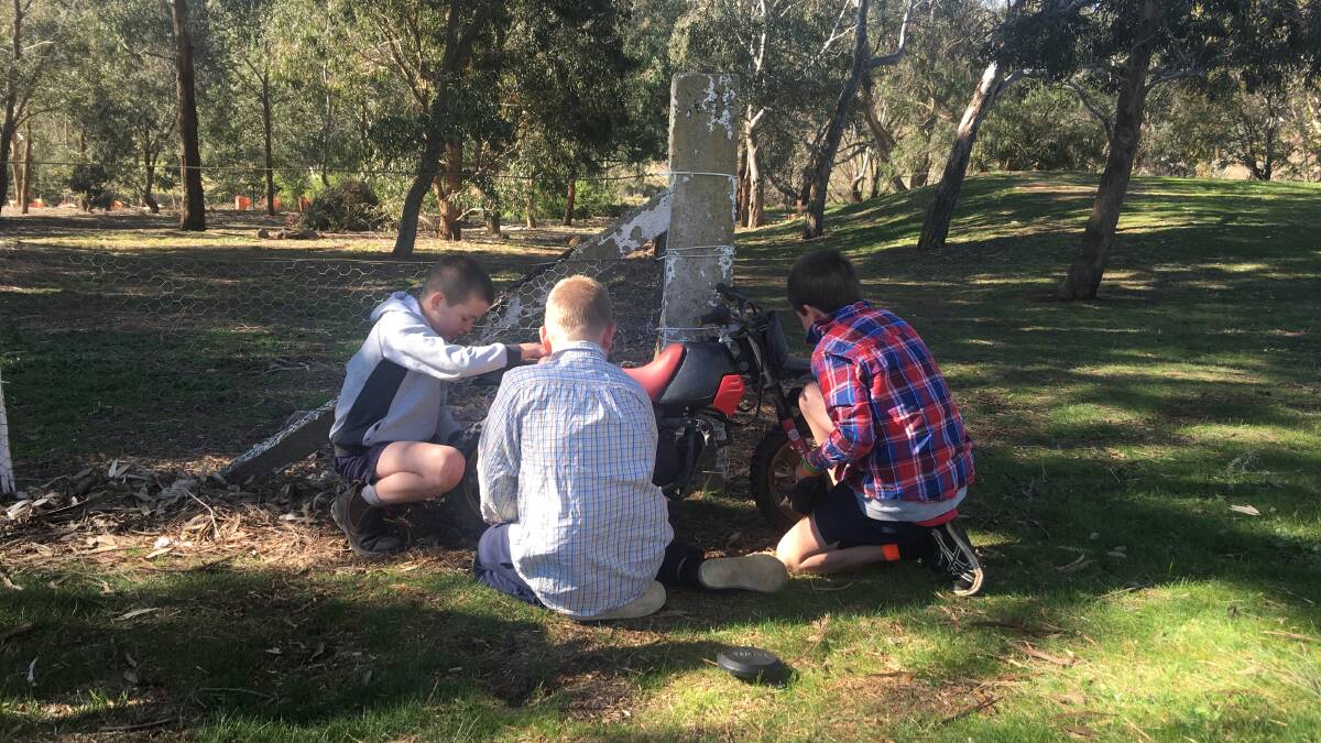 Binalong Public School's male students work together on the Young Bloke's Shed's first project. Photo: Diane Hickey