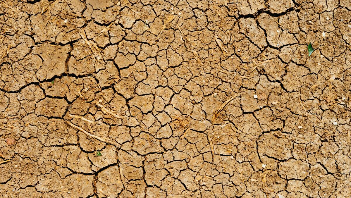 WATCH AND WAIT: The drought is having a significant impact on farmers' mental health. Picture: Dan Gold