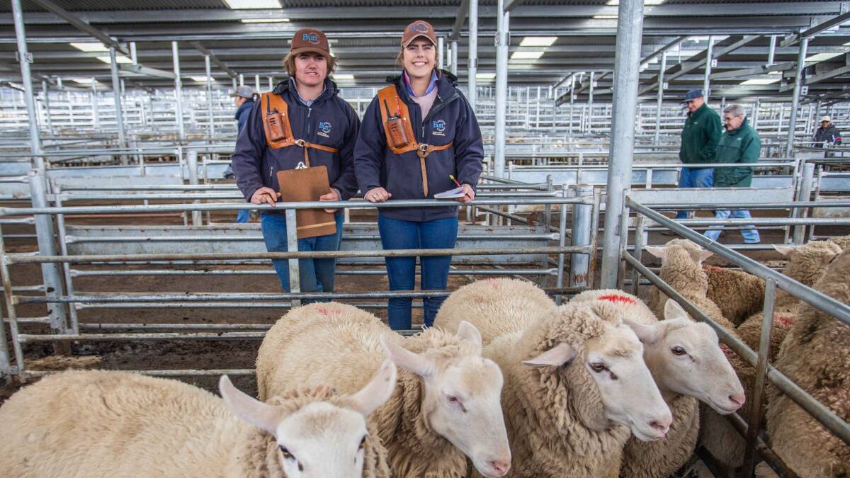 TOP PRICE: Yass High student Jason Davis overseeing the prized sheep with Tegan Morris, an ex-student and current SELX employee. Picture: supplied