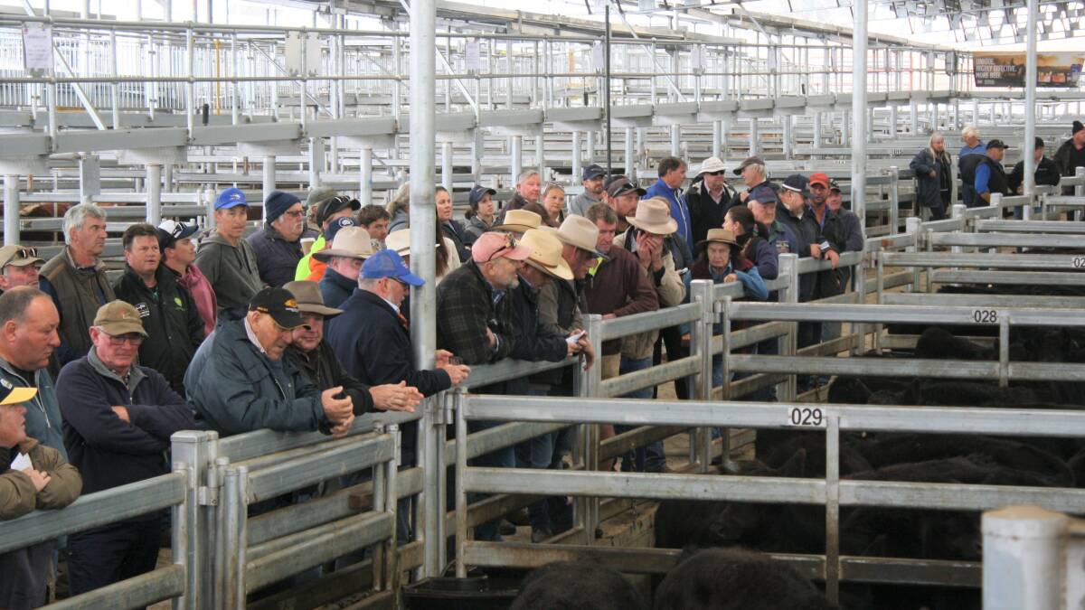 Fullerton weaners top special sale at 298c/kg