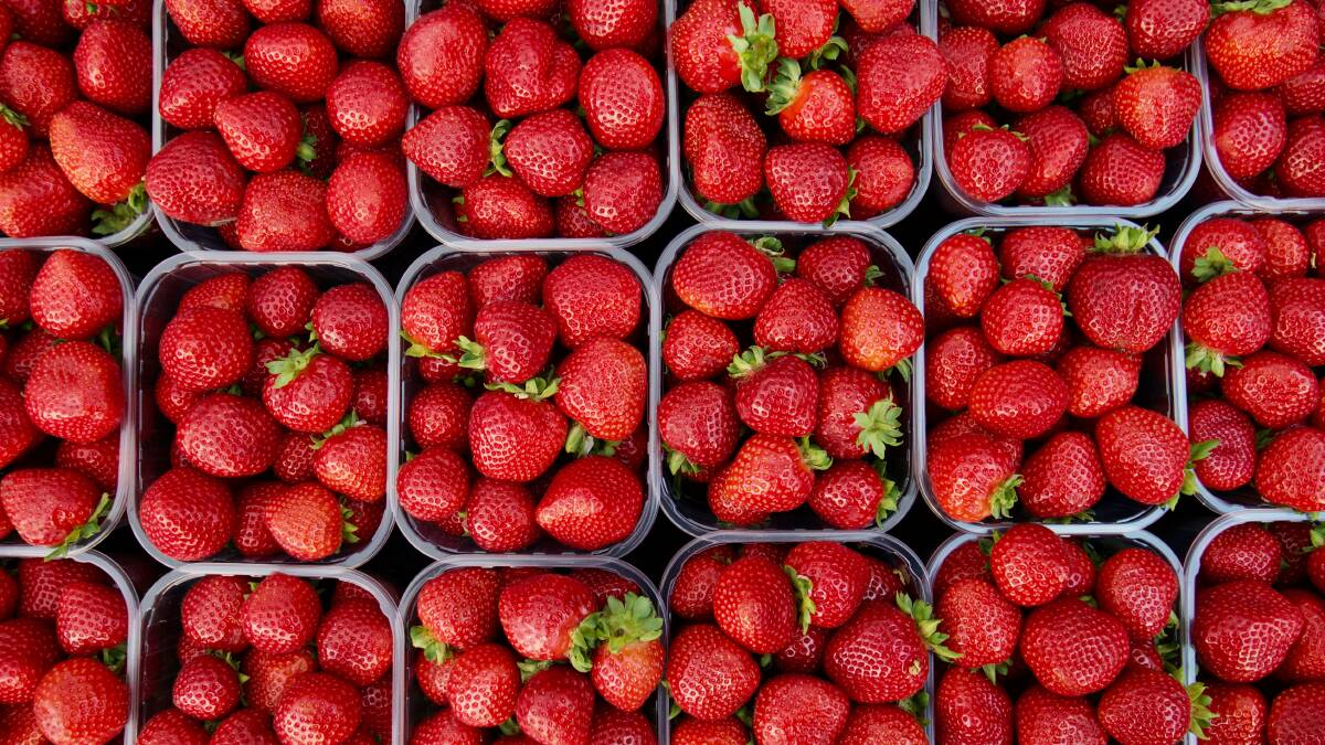 Yass Woolworths, Aldi and IGA not stocking contaminated strawberries. Picture: Barry McGee