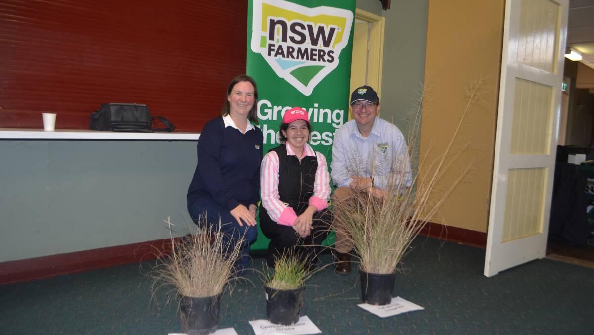 Weed out: NSW Farmers Regional Services manager - central west Catriona McAuliffe, NSW Farmers - Yass Branch chair Carolina Merriman and NSW Farmers regional services and sales manager Jonathan Tuckfield with examples of African lovegrass, Chilean needle grass and tall African lovegrass - notifiable weeds in Yass Valley. Photo: Stephen Burns.