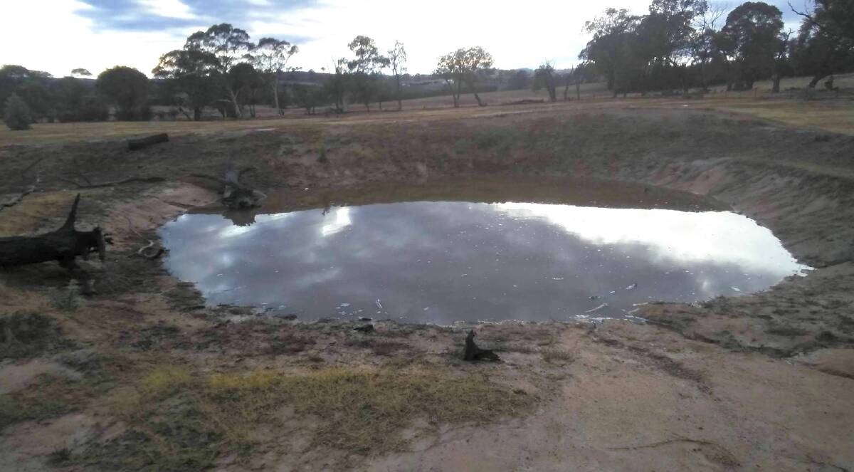 The small dam at Yass local Andrew Henell's property on Wargeila Road filled up after the rain. Photo: Andrew Henell 