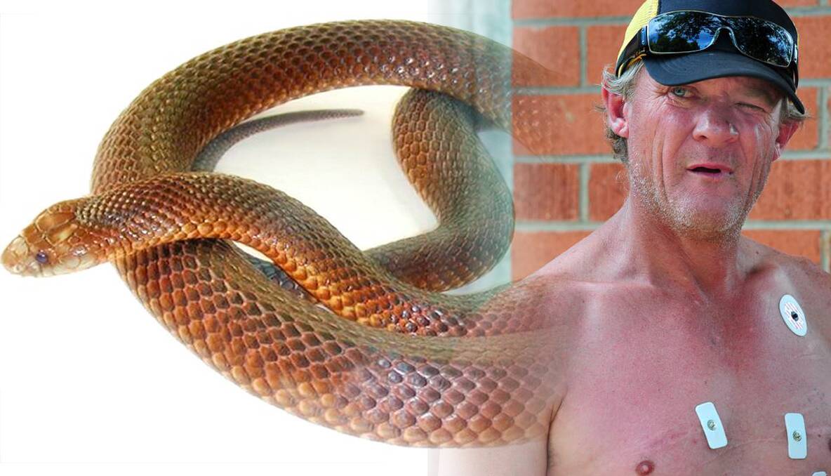Rodney Williams and the type of snake he claimed to have bitten.