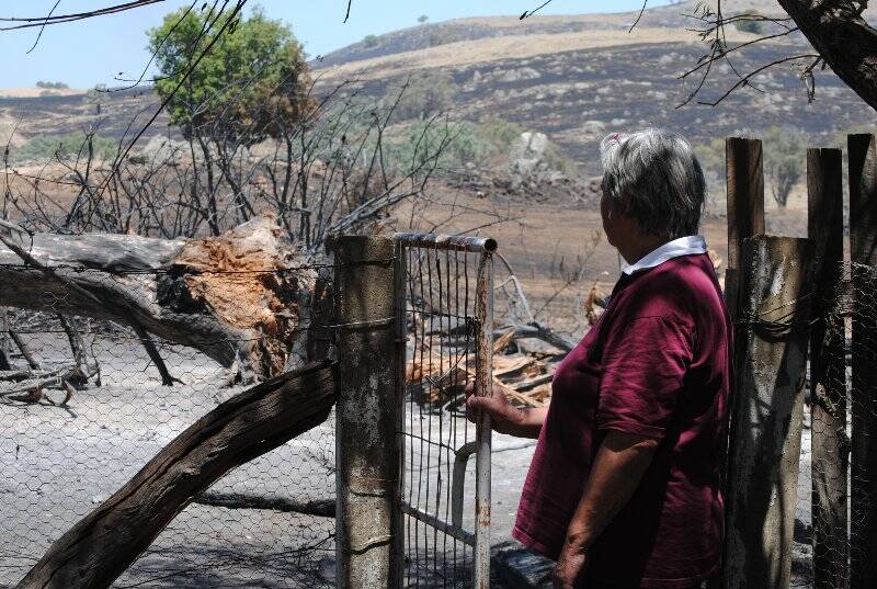 Hansie Armour assesses the damage on her property on Childowla Road. Photo: Katharyn Brine.