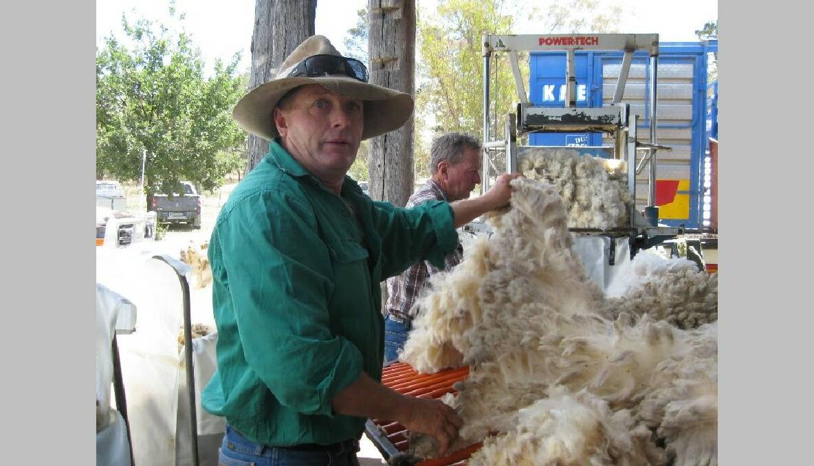 Brent Medway provided sheep for the shearing competition and was delighted to be getting them shorn on a Sunday, usually the shearers' day off!