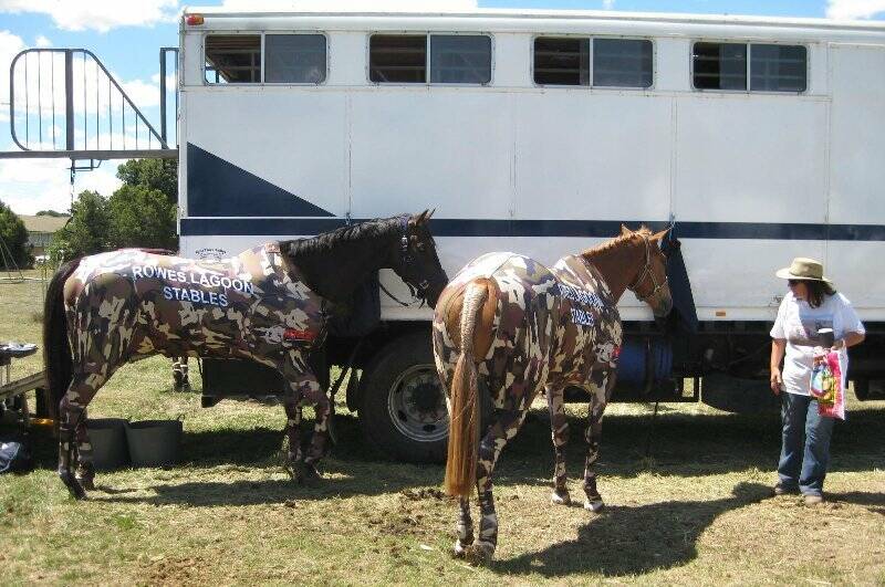 What the heck.. Wendy Sailard checked out some strange looking 'Appaloosas' at the Gunning Show.