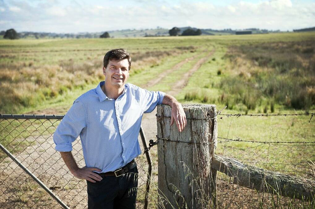 Angus Taylor has called for an inland rail solution.