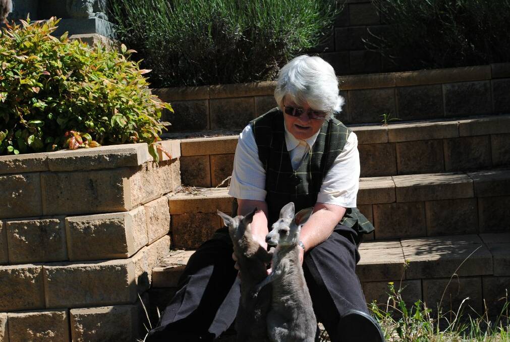 Jane and Kevin Baker are inundated with orphaned joeys at this time of year. 
