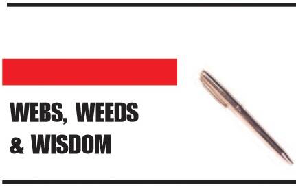 Ann Holmes contributes regularly to the Webs, Weeds and Wisdom column.