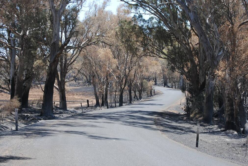 Childowla Road residents went without phone contact for nine days after the January 8 bushfire.