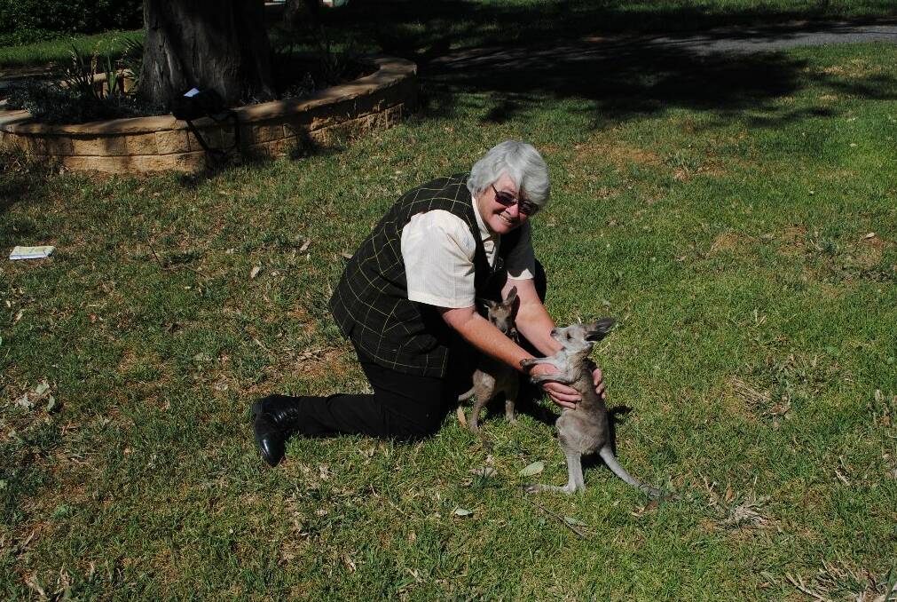 Jane Baker with two joeys.