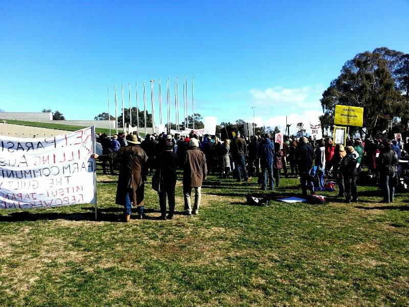The anti-wind rally held at Parliament House yesterday. Across the lake, a pro renewable energy rally gathered in the city. Photographer Alex Tewes reported about twice as many people at the second rally.